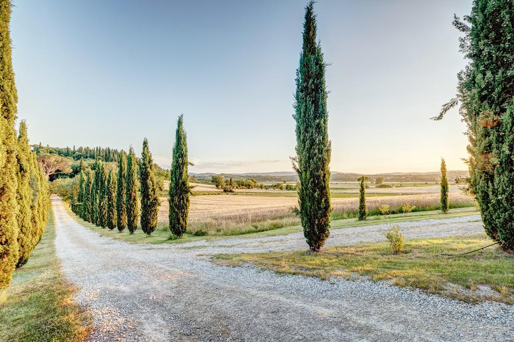 Agriturismo Il Poggiarello Foiano Della Chiana Buitenkant foto